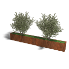 Cortenstaal plantenbak Texas xxl 320 x 30 cm
