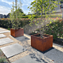 Cortenstaal plantenbak Miami 800x800