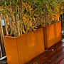 Cortenstaal plantenbak Texas 300x1200