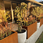 Cortenstaal plantenbak Texas 300x1200