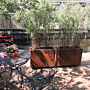 Cortenstaal plantenbak Texas 300x800