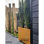 Cortenstaal plantenbak Texas xxl 2400x500