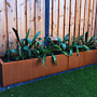 Cortenstaal plantenbak Texas xxl 2400x500