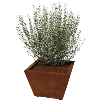 Cortenstaal gelaste plantenbak Cone 60 x 60 x 40 cm