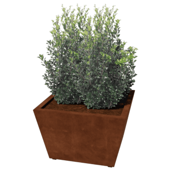 Cortenstaal gelaste plantenbak Cone 80 x 80 x 50 cm