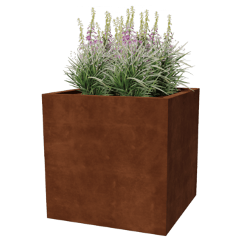 Cortenstaal gelaste plantenbak Montana 80 x 80 x 80 cm