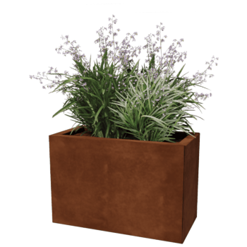 Cortenstaal plantenbak Texas 30 x 60 cm