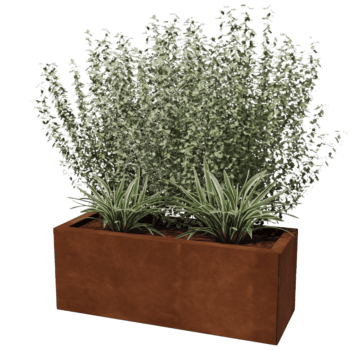 Cortenstaal plantenbak Texas 30 x 80 cm