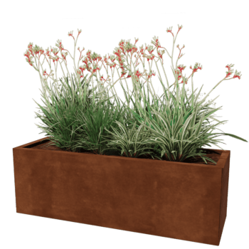 Cortenstaal plantenbak Texas 40 x 120 cm
