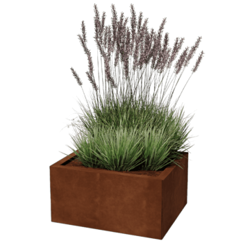 Cortenstaal plantenbak Texas 50 x 60 cm