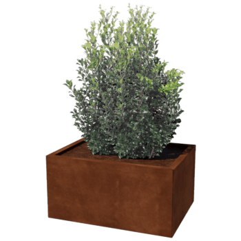 Cortenstaal plantenbak Texas 60 x 80 cm