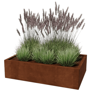Cortenstaal plantenbak Texas 80 x 120 cm