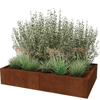 Cortenstaal plantenbak Texas xxl 160 x 100 cm