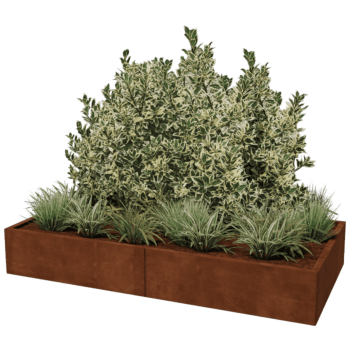 Cortenstaal plantenbak Texas xxl 200 x 100 cm