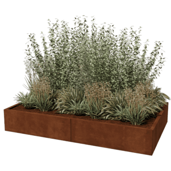 Cortenstaal plantenbak Texas xxl 200 x 120 cm
