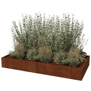 Cortenstaal plantenbak Texas xxl 240 x 120 cm