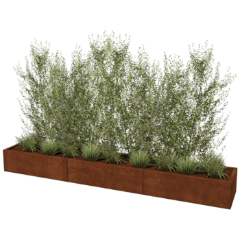 Cortenstaal plantenbak Texas xxl 300 x 50 cm