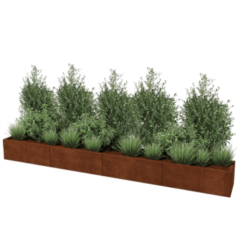 Cortenstaal plantenbak Texas xxl 320 x 40 cm
