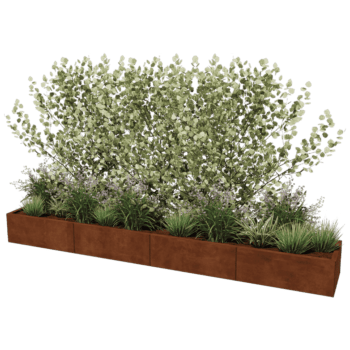 Cortenstaal plantenbak Texas xxl 320 x 50 cm