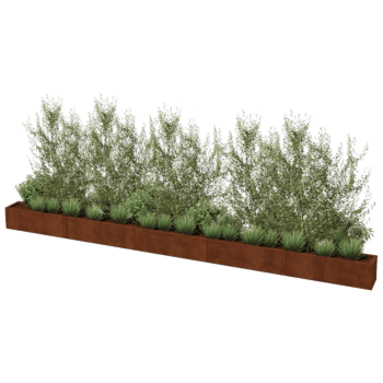 Cortenstaal plantenbak Texas xxl 500 x 30 cm