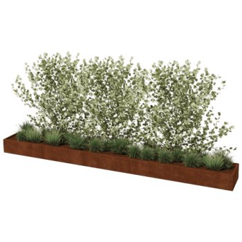 Cortenstaal plantenbak Texas xxl 500 x 60 cm