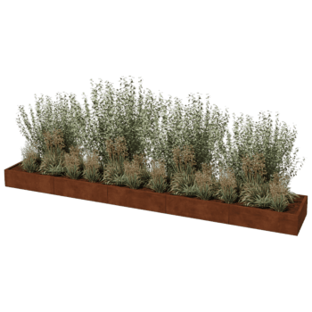 Cortenstaal plantenbak Texas xxl 500 x 80 cm