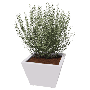 Gepoedercoat staal gelaste plantenbak Cone 60 x 60 x 40 cm