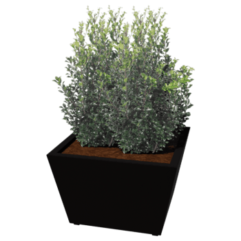 Gepoedercoat staal gelaste plantenbak Cone 80 x 80 x 50 cm