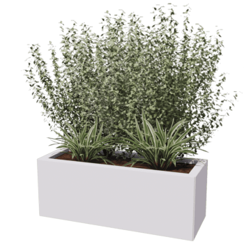 Gepoedercoat staal plantenbak Texas 30 x 80 cm