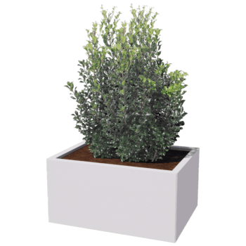 Gepoedercoat staal plantenbak Texas 60 x 80 cm