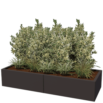 Gepoedercoat staal plantenbak Texas xxl 160 x 60 cm
