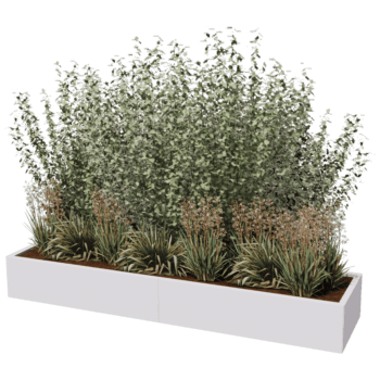 Gepoedercoat staal plantenbak Texas xxl 240 x 60 cm