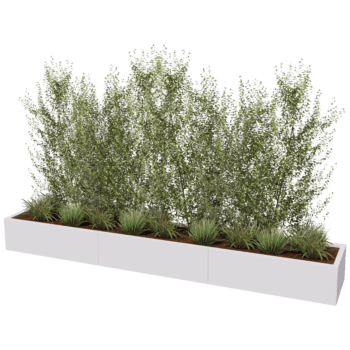 Gepoedercoat staal plantenbak Texas xxl 300 x 50 cm