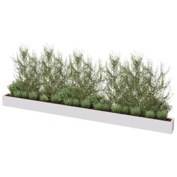 Gepoedercoat staal plantenbak Texas xxl 500 x 30 cm