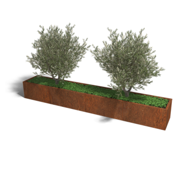 Cortenstaal plantenbak Texas xxl 320 x 50 cm