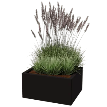 Stalen plantenbak - Rechthoek - 50 x 60 cm