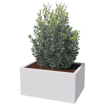 Stalen plantenbak - Rechthoek - 60 x 80 cm