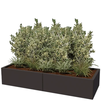 Stalen plantenbak XXL - Rechthoek - 160 x 60 x 30 cm - Andere RAL kleur - Met bodemplaat