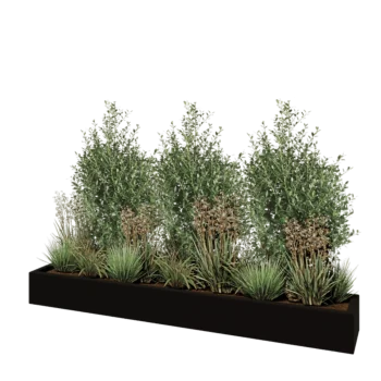 Polyester plantenbak - Rechthoek - 200 x 30 x 20 cm - RAL9005 mat (zwart) - Met bodem