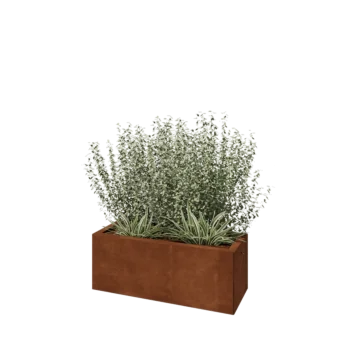Cortenstaal plantenbak - Rechthoek - 80 x 30 x 30 cm - Met bodemplaat