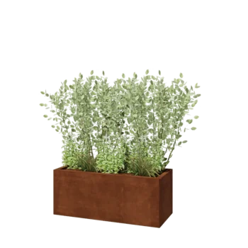Cortenstaal plantenbak - Rechthoek - 100 x 40 x 40 cm - Met bodemplaat