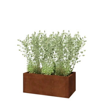 Cortenstaal plantenbak - Rechthoek - 100 x 50 x 40 cm - Met bodemplaat