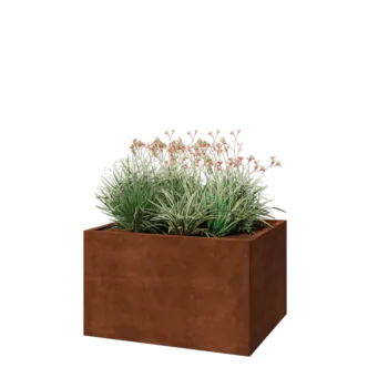 Cortenstaal plantenbak - Rechthoek - 100 x 80 x 60 cm - Met bodemplaat