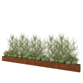Cortenstaal plantenbak XXL - Rechthoek - 500 x 30 x 30 cm - Zonder bodemplaat