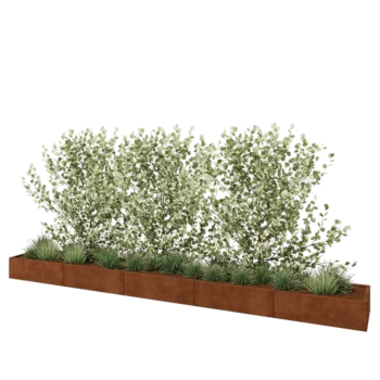 Cortenstaal plantenbak XXL - Rechthoek - 500 x 60 x 30 cm - Zonder bodemplaat