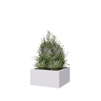 Stalen plantenbak - Vierkant - 60 x 60 x 30 cm - RAL9010 mat (wit) - Met bodemplaat