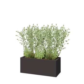 Stalen plantenbak - Rechthoek - 100 x 40 x 40 cm - RAL7016 mat (antraciet grijs) - Zonder bodemplaat