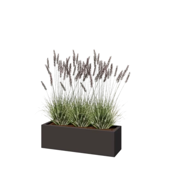 Stalen plantenbak - Rechthoek - 100 x 30 x 30 cm - RAL7016 mat (antraciet grijs) - Met bodemplaat