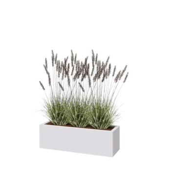 Stalen plantenbak - Rechthoek - 100 x 30 x 30 cm - RAL9010 mat (wit) - Met bodemplaat