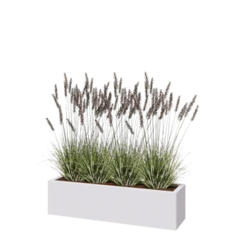 Stalen plantenbak - Rechthoek - 120 x 30 x 30 cm - RAL9010 mat (wit) - Met bodemplaat